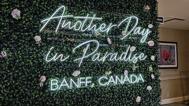 Another Day in Paradise