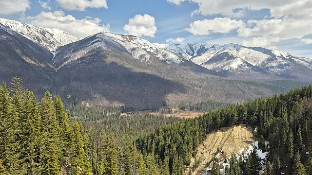 Stoney Creek Bridge View