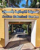 A Morning With the "Birdman of Aswan"